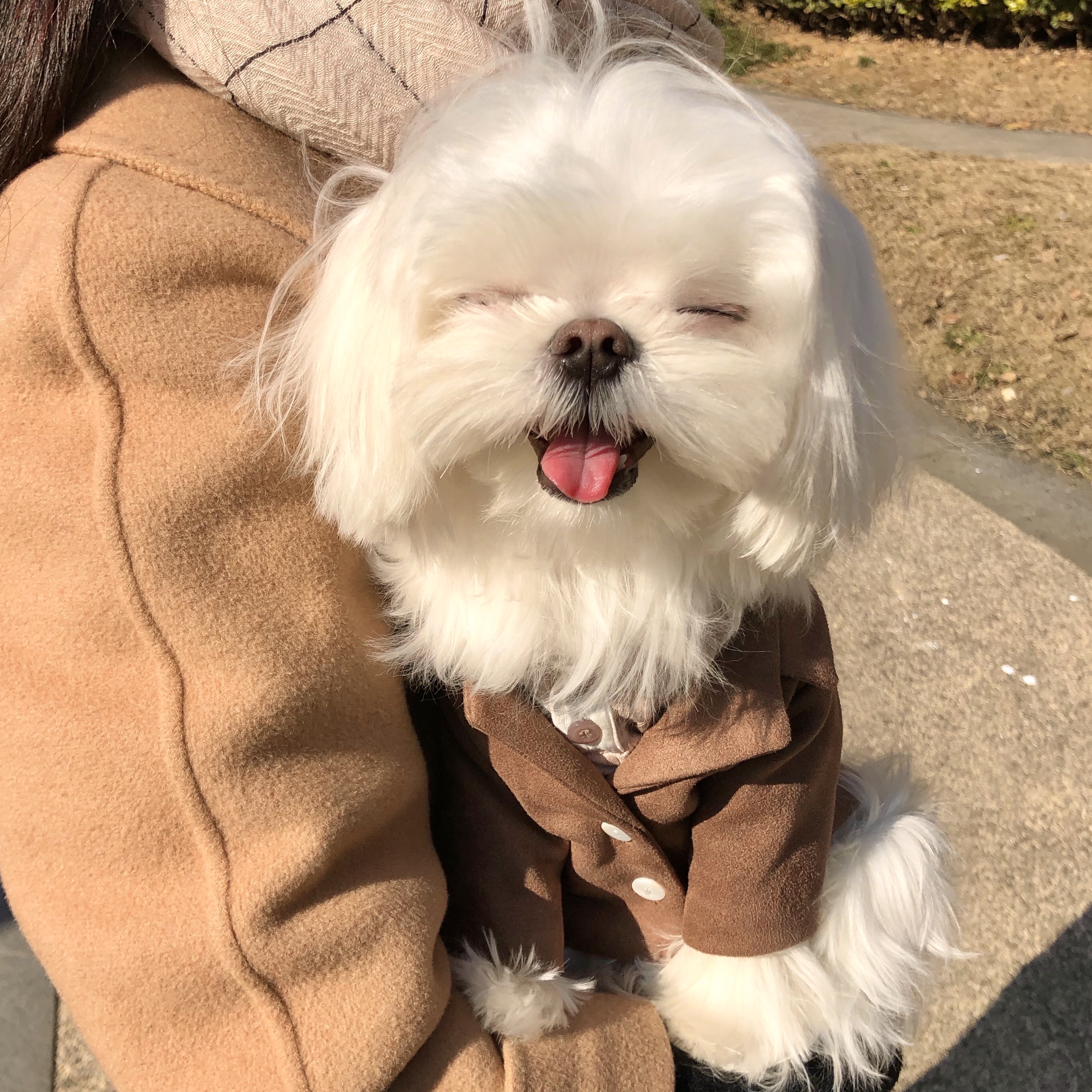 UNLEASHED韩国ins风麂皮浮雕休闲外套秋冬宠物马尔济斯猫狗衣服