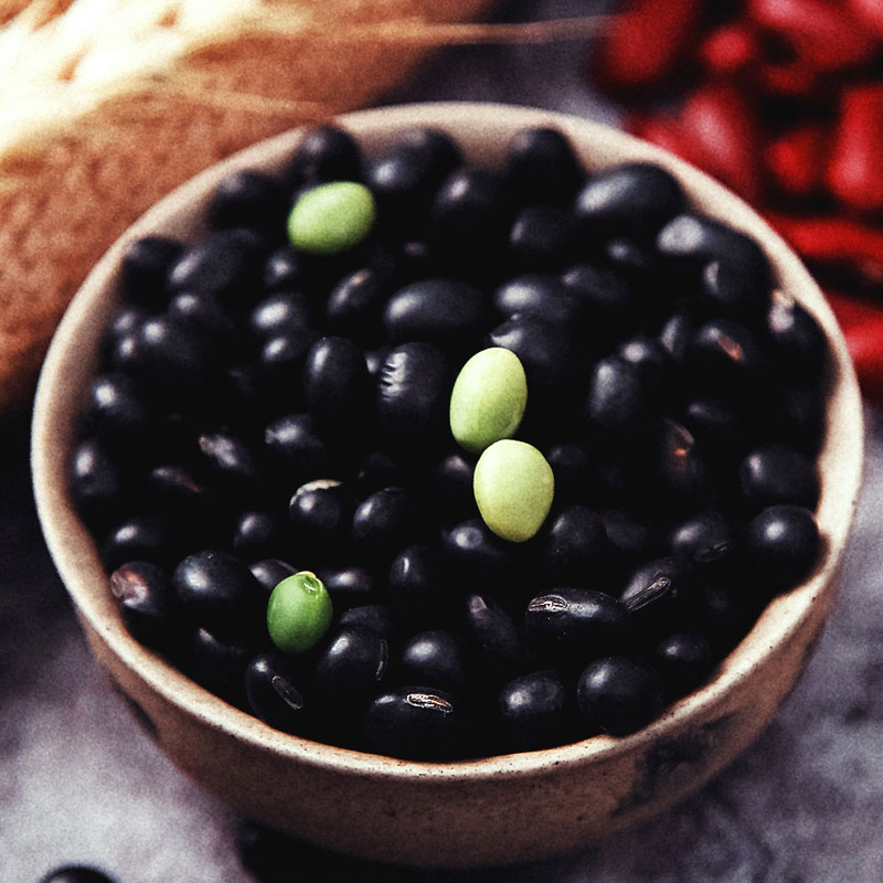 北纬49新东北黑龙江绿芯有机小黑豆黑大豆青仁绿仁小粒生黑豆400g