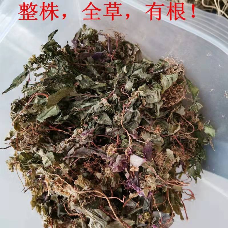 福建纯野生风鼓草风柜斗草风谷草红杆风骨草楮头红干品中草药250g - 图3