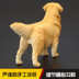 Mô hình đồ chơi động vật mô phỏng trẻ em lớn Wang Xing dog dog Golden Retriever Golden Retriever dog - Đồ chơi gia đình đồ chơi bác sĩ cho bé Đồ chơi gia đình