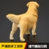 Mô hình đồ chơi động vật mô phỏng trẻ em lớn Wang Xing dog dog Golden Retriever Golden Retriever dog - Đồ chơi gia đình