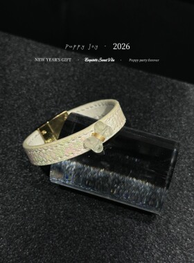 PuppyJoy独家「琉璃蛇梦」巨型蟒蛇皮手环高级手工定制