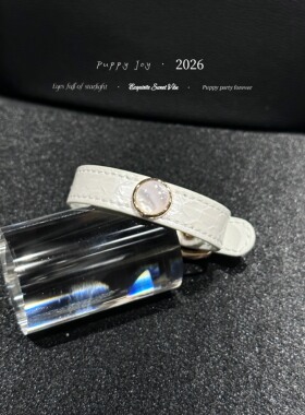 手链 PuppyJoy独家「雪贝」白色擦蟒蛇皮手环高级手工定制