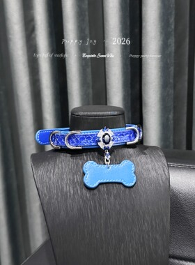 PuppyJoy「克莱因蓝」项链颈带项圈小众男女choker项圈手工定制
