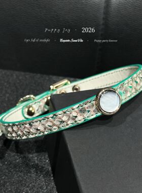 PuppyJoy手缝「绿野仙踪」choker蛇皮项圈高级手工定制