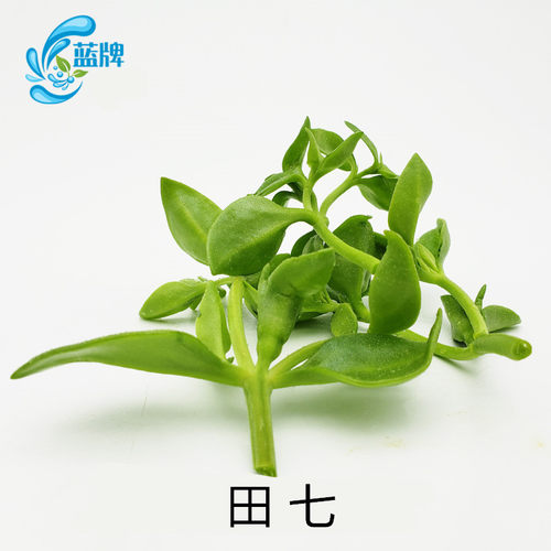 【蓝牌】新鲜田七叶三七叶山漆餐厅 西餐 酒店煲汤菜400g - 图2