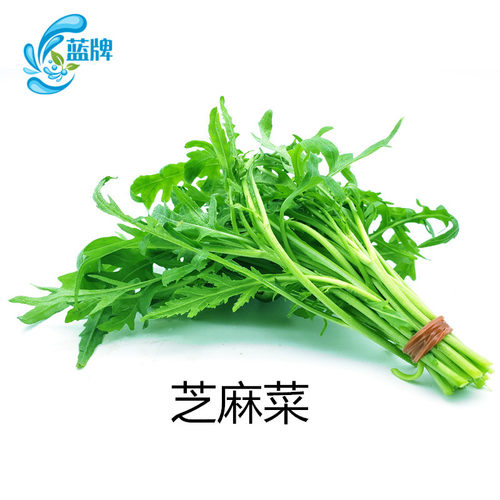 【蓝牌】新鲜芝麻菜火箭菜 新鲜蔬菜 Arugula沙拉菜色拉苦菜250g - 图2