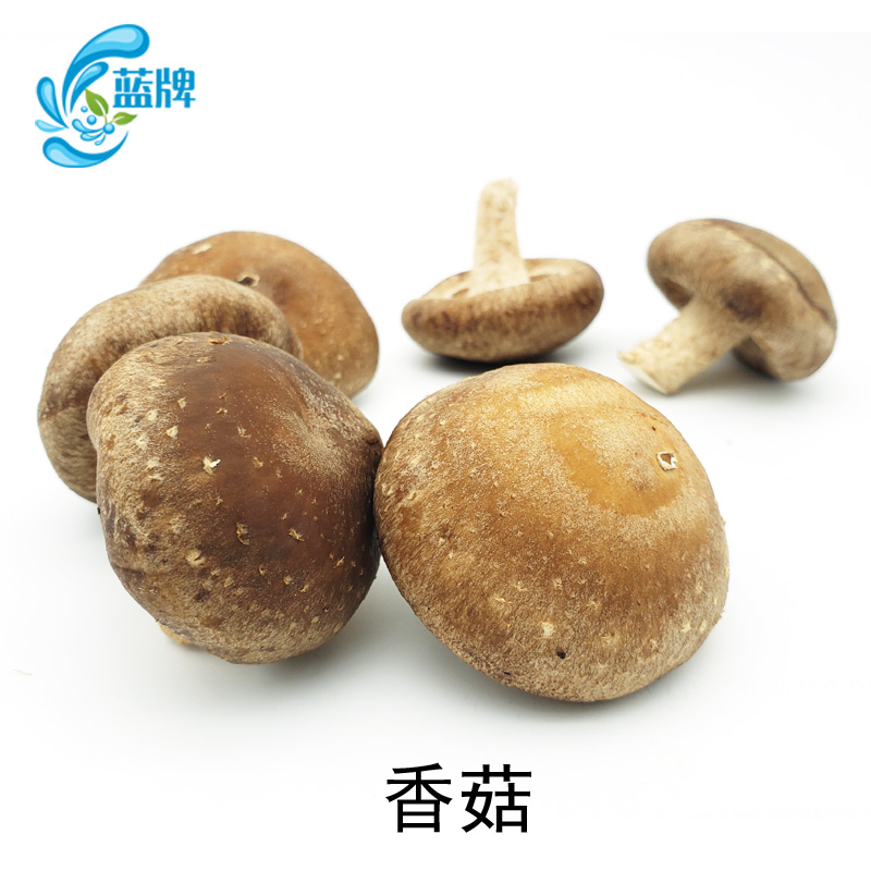 【蓝牌】新鲜香菇新鲜蘑菇食用菌菇海鲜菇 500g-图1