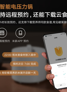 MIUI/小米米家米家智能电压力锅
