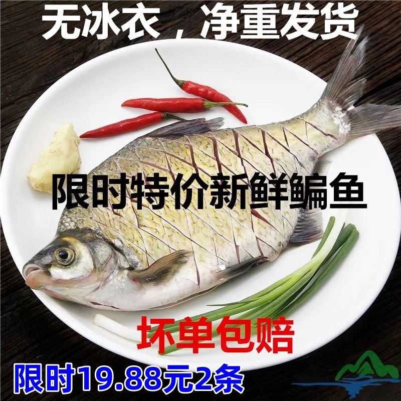 野土鳊鱼武昌鱼新鲜鲂鱼扁鱼原生态饭店食堂快餐采购超市三角鲂,淘宝优惠券,粉丝福利购,淘宝优惠卷