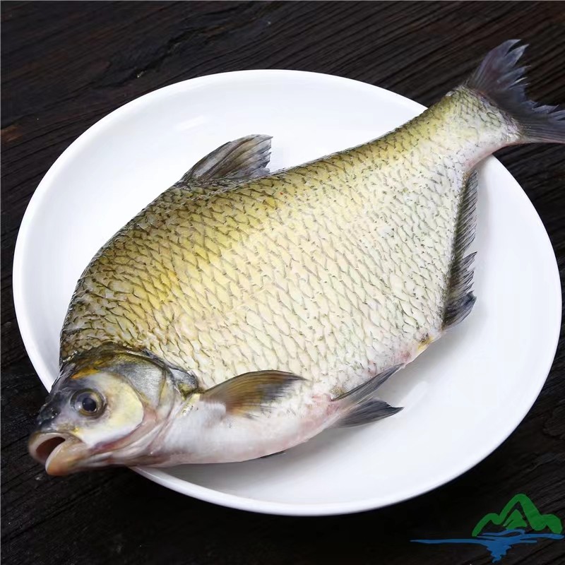 野土鳊鱼武昌鱼新鲜鲂鱼扁鱼原生态饭店食堂快餐采购超市三角鲂,淘宝优惠券,粉丝福利购,淘宝优惠卷