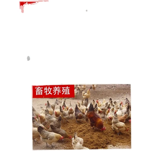 Животные пастырские коричневые глюкозы