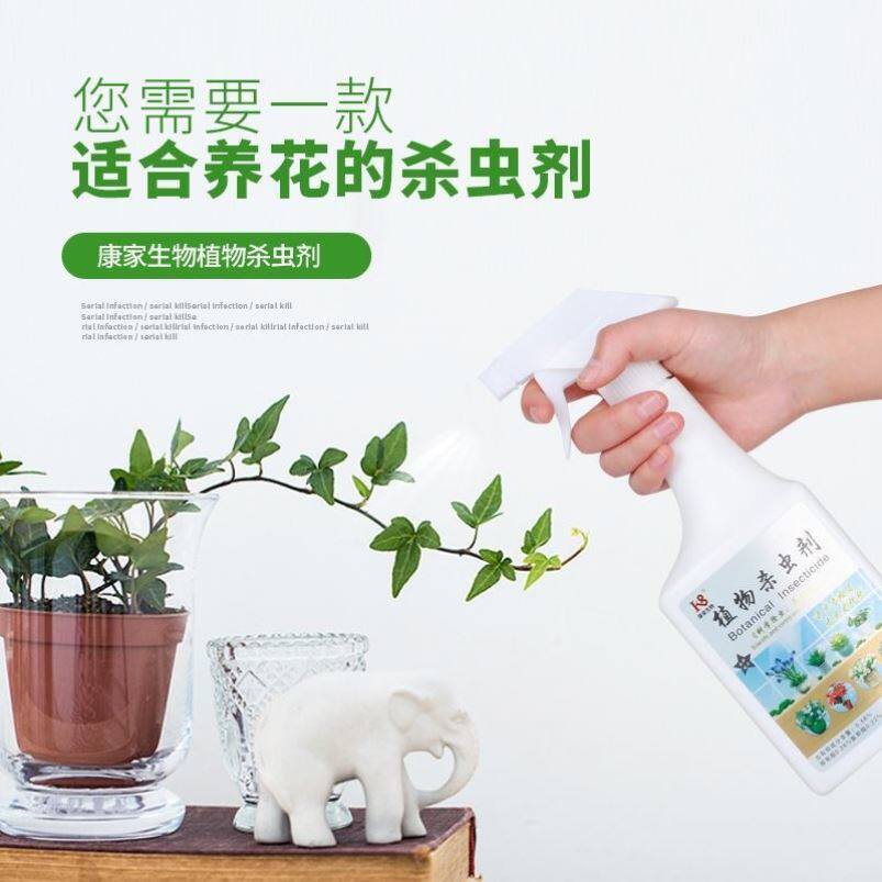 花盆里的小飞虫小虫子花卉不伤花蚊蝇爬虫家用阳台吊兰发黄虫害