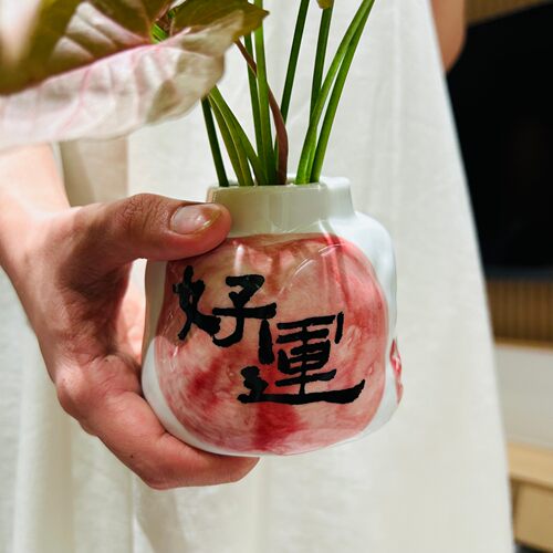 水培粉精灵合果芋盆栽办公室桌面懒人易养植物竹芋ins风创意绿植 - 图0