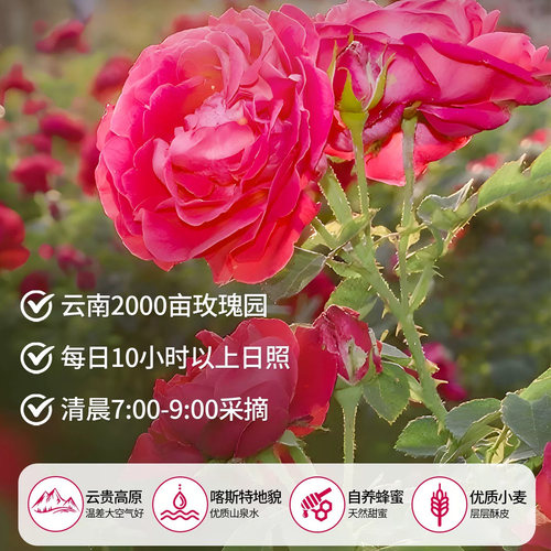 鲜花饼云南特产玫瑰花糕点心零食休闲小吃食品官方旗舰店年货礼盒 - 图0
