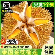 Thai gold pillows durian Shun Feng Optional Fresh fruit Imports Barpalm durian meat frozen one whole period of the whole season