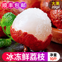 Fujian frozen lychee 10 catty of fresh fruit should season the whole box pregnant woman big fruit burst sweet lychee