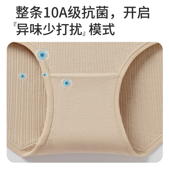 Shorts a la cadera de cintura media alta antibacterianos de puro algodón Yashikai