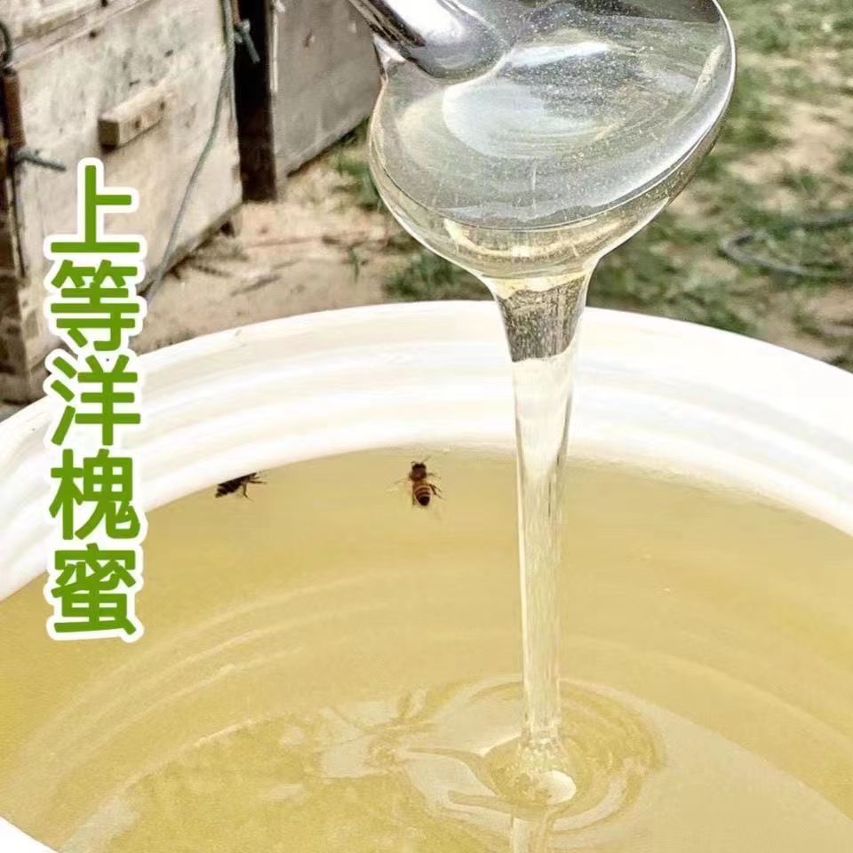 蜜然康洋槐蜂蜜蜂农自销正宗无添加天然纯正野生延安水白槐花蜜纯-图2