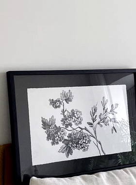植物线稿现代文艺气质复古花卉黑色系装饰画ins中古风插画实木框