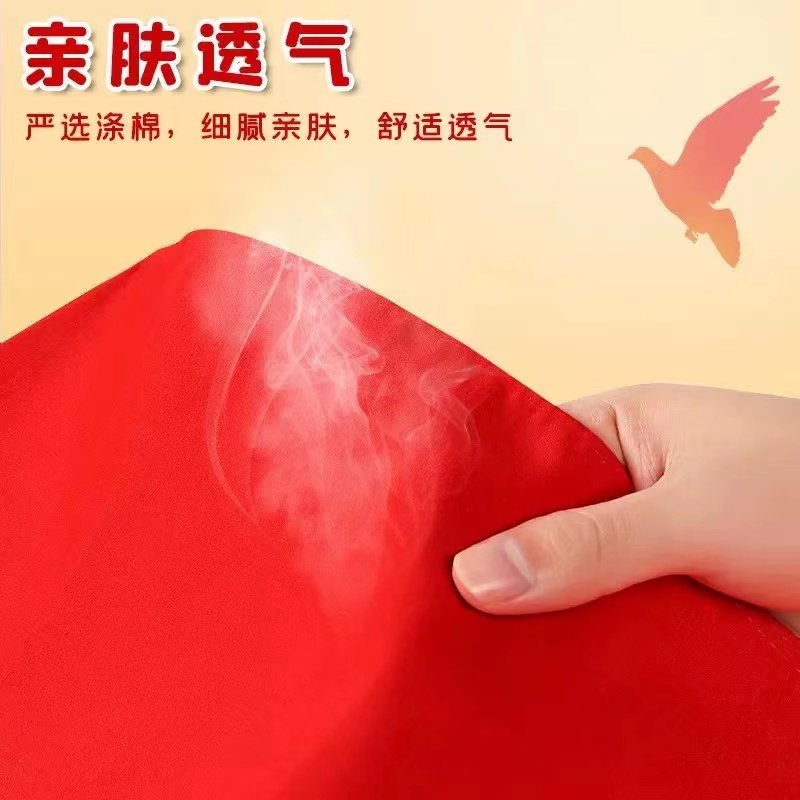 红领巾小学生懒人全年级专用省时方便省时抗皱不掉色标准初中通用,淘宝优惠券,粉丝福利购,淘宝优惠卷