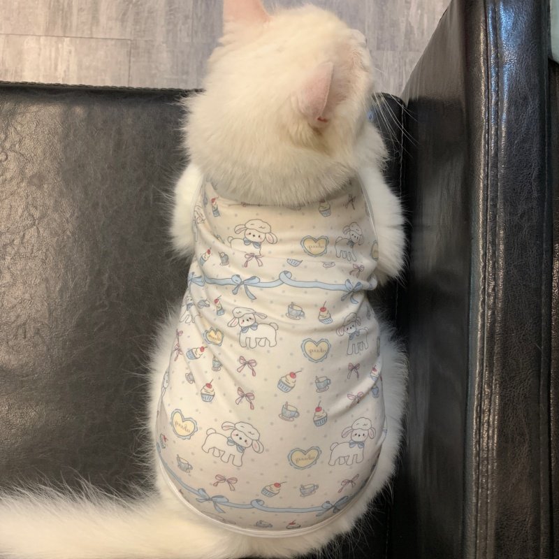 可爱小羊宠物猫咪衣服春秋夏季弹性透气甜美无袖背心式防脱不掉毛,淘宝优惠券,粉丝福利购,淘宝优惠卷