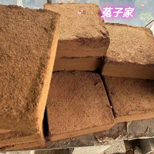【菟子家多肉】多肉土、椰糠砖、麦饭石 - 图1