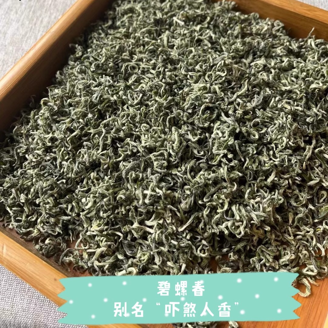 2024新茶碧螺春茶春茶江浙绿茶名茶明前春茶绿茶高山云雾茶-图0