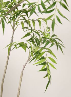大型网红仿真绿植十大功劳假植物室内北欧落地盆栽假绿植橱窗装饰