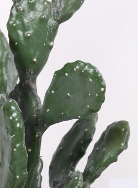 北欧风仿真莱昂仙人掌仙人柱沙漠植物盆栽摆件橱窗落地绿植盆景