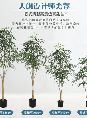 仿真孔雀木大型热带植物孔雀木假树仿生盆栽室内外装饰仿真绿植