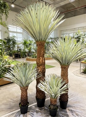 大型仿真菠萝头植物 沙漠绿植景观造景 室内商业橱窗落地装饰