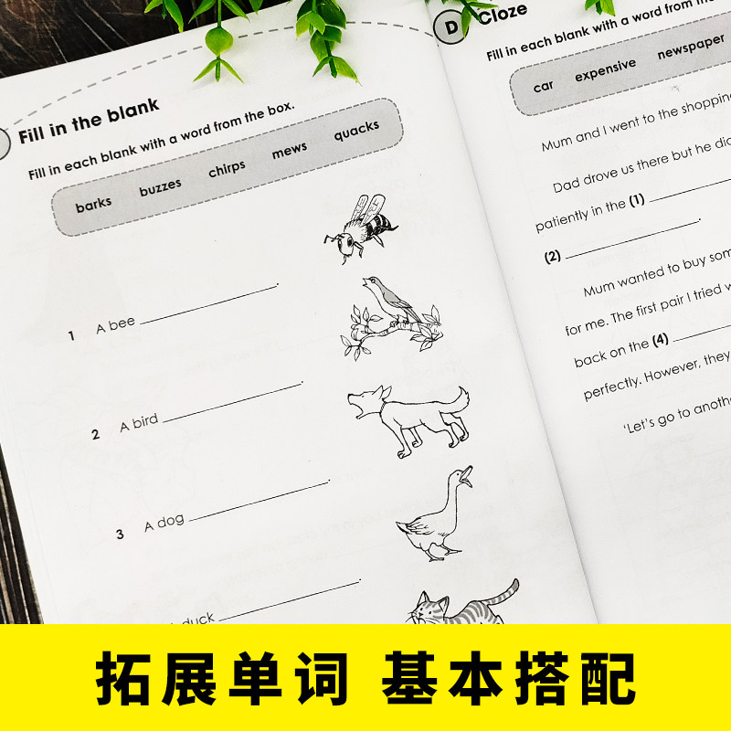 【1年级含视频】新加坡小学英语语法1年级小学英语词汇练习册MasteringEnglish小学一年级英语词汇语法学习系列7岁新加坡英语教辅_虎窝淘