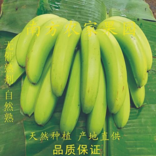 天天特价新鲜香蕉 新鲜banana  新鲜水果 农家香蕉现砍现发包邮 - 图1