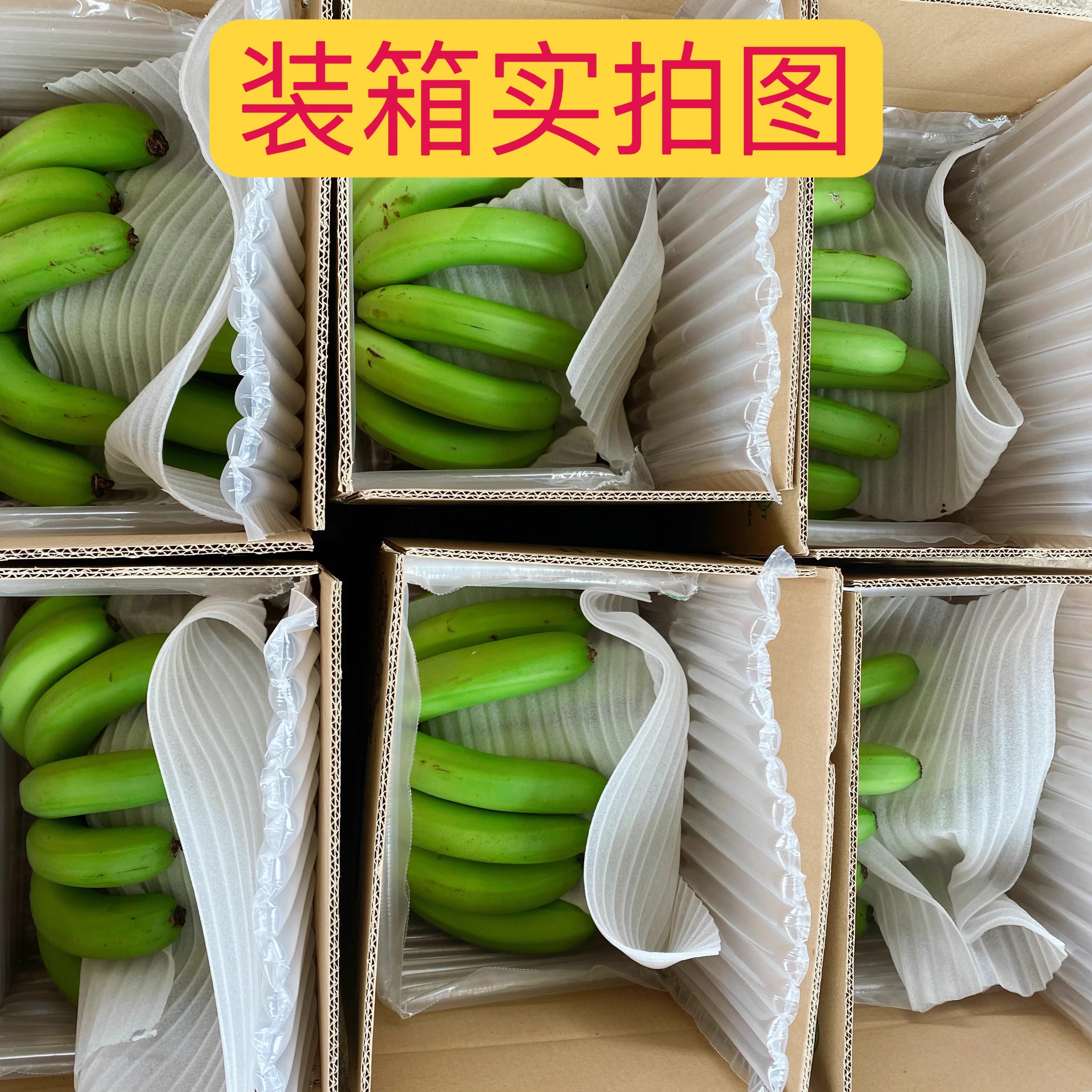 云南威尼斯香蕉自然熟香蕉现摘现发无药水产地直发云南banana包邮 - 图3