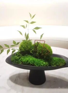 工艺花器永生苔藓朗怡定制直销