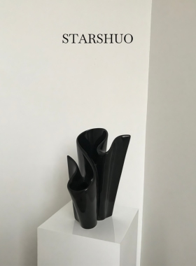 STARSHUO原创水养高级感陶瓷花瓶