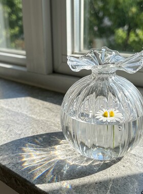 玻璃花瓶透明水培玻璃花瓶家居卧室桌面装饰花瓶摆件干花玻璃花瓶