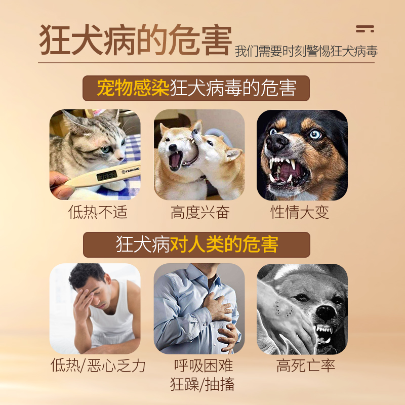 狂犬病试纸狗狗猫咪宠物狂犬病毒抗原检测猫咪狗狗RBV病毒检测卡-图0