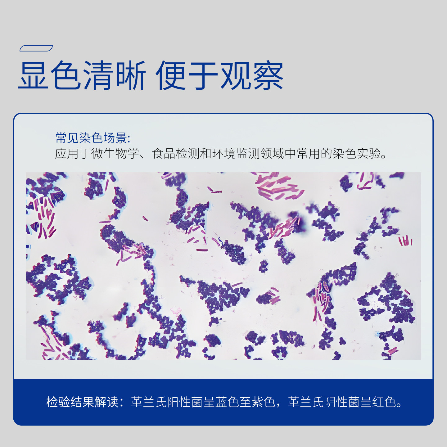 Baso贝索革兰氏快速染色液试剂盒海博龙胆紫显微镜用细菌阴性染料,淘宝优惠券,粉丝福利购,淘宝优惠卷