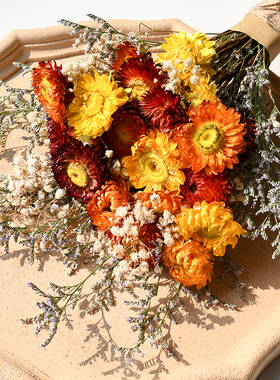 小雏菊向日葵干花花束ins太阳花