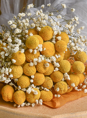 黄金球金槌花干花花束装饰摆件真花插花干燥永生花尤加利叶满天星