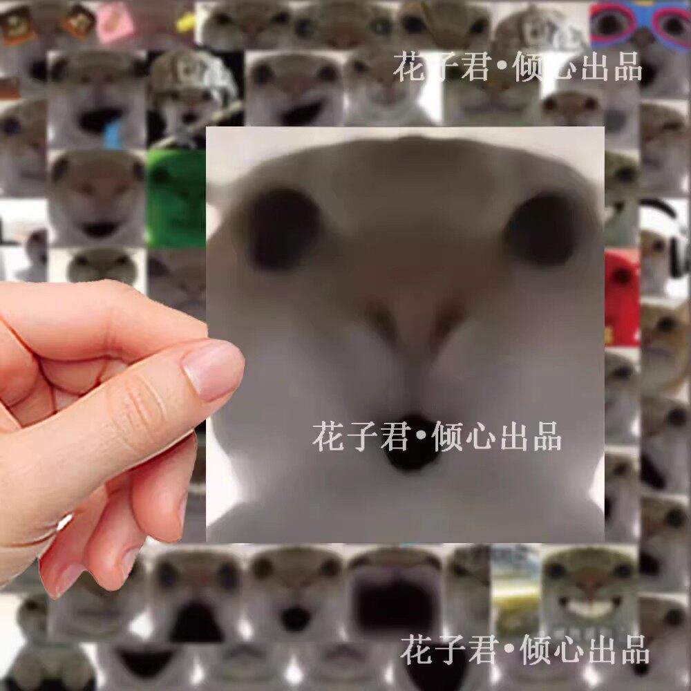 124张鼠鼠表情包贴纸飞宇哥发疯猫猫头表情包搞笑贴纸DIY可爱贴画