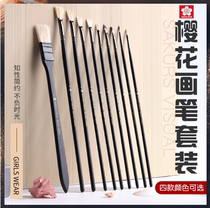 Cherry Blossom Sector Pen Black Rider Pig Mane Watercolor Pen Suit Propylene Oil Painting Pen Watercolor Painting Pen Fine Art Entrance Examination Brush