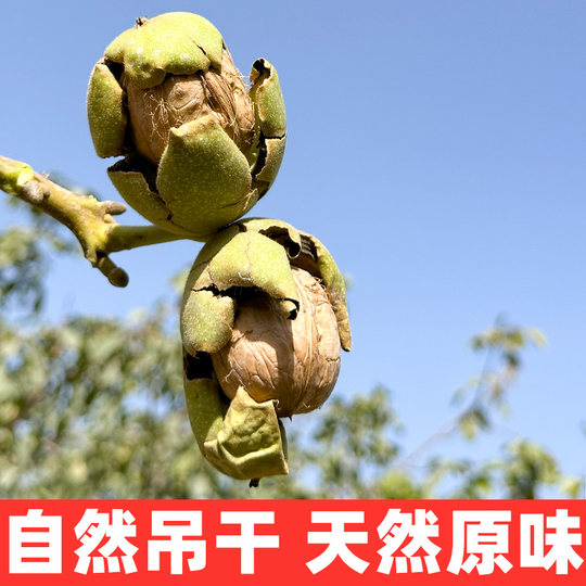 Ядра грецких орехов Wenjun Xinjiang в бумажной кожуре 500г свежие