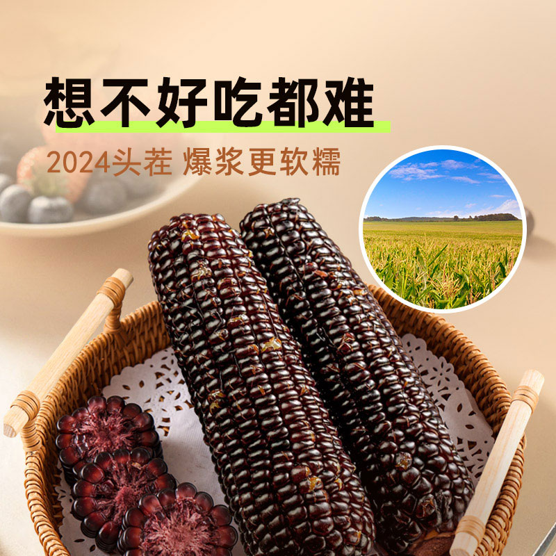 黑玉米糯米新鲜甜糯玉米即食紫真空装包装袋减东北官方旗舰店低脂