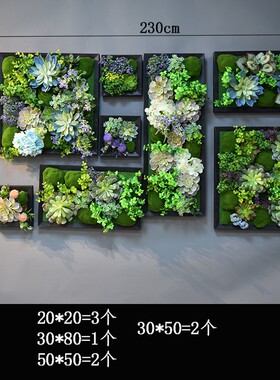 仿真多肉绿植相框植物壁墙面