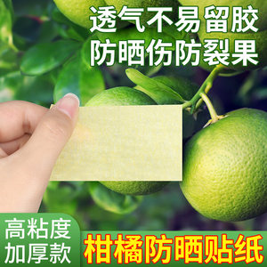柑橘防晒贴纸脐橙水果晒伤修复防太阳果专用贴果树果子橘子防晒纸粑粑柑沃柑日灼耐高温加厚高粘度美纹纸批发