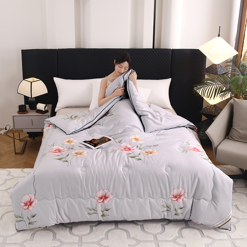FUANANFANGZHI家用春秋被单双人空调被四季被 a - 图0