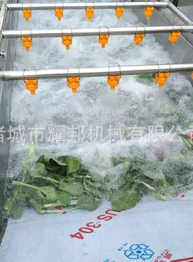 连续式果蔬气泡清洗机 葡萄水果蔬菜20220727清洗设洗备 泡全鼓自